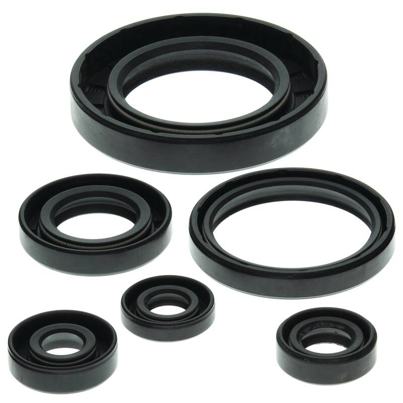Can-Am Traxter 500 Engine Oil Seal Kit - Vertex Pistons - `99-`05